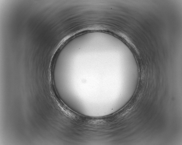 X0000064770837200603031823