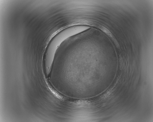 X0000064770842200603031823