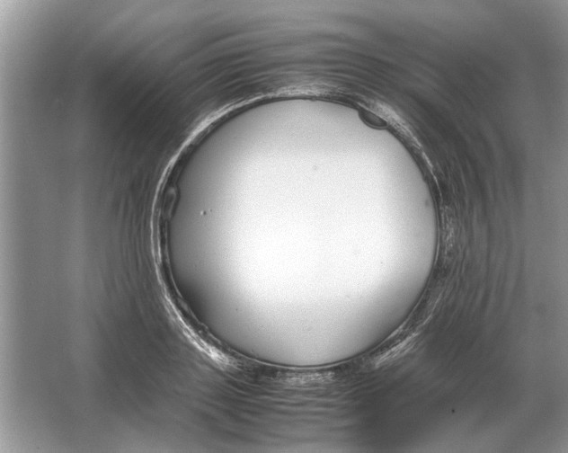 X0000064770843200603031823