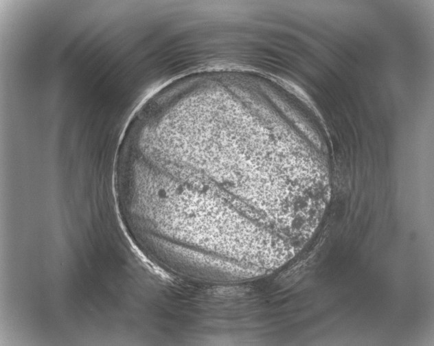 X0000064770847200603031823