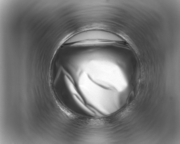 X0000064770850200603031823