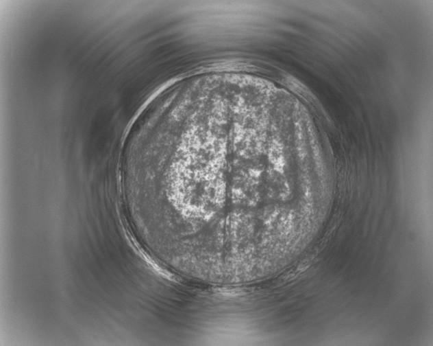 X0000064770852200603031823