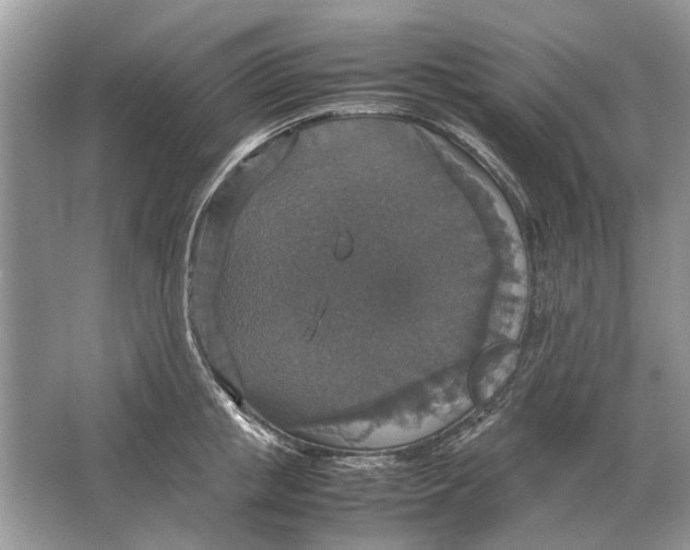 X0000064770853200603031823