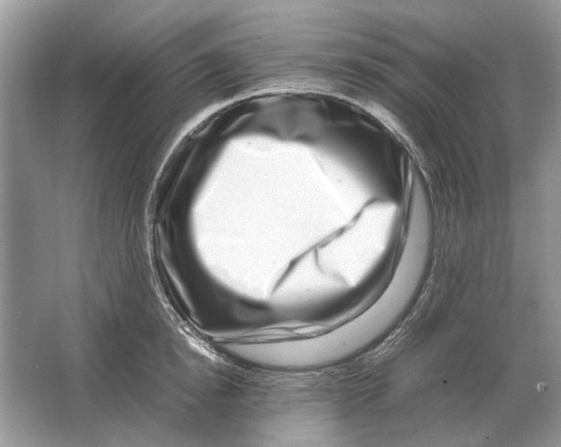 X0000064770854200603031823