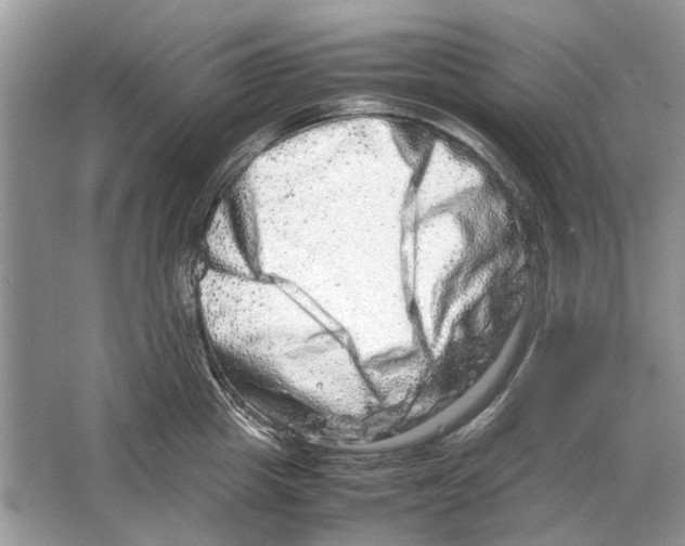 X0000064770857200603031823