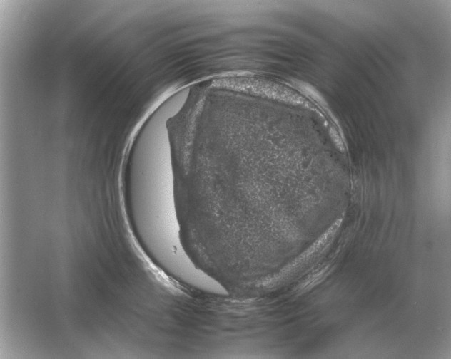 X0000064770859200603031823