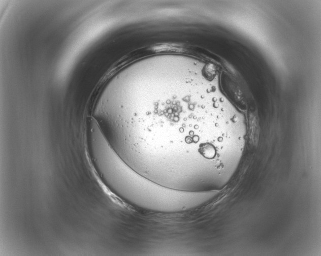 X0000064770861200603031823