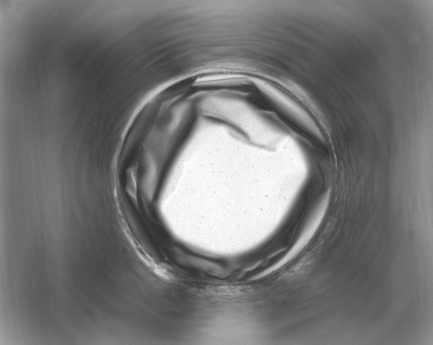 X0000064770862200603031823