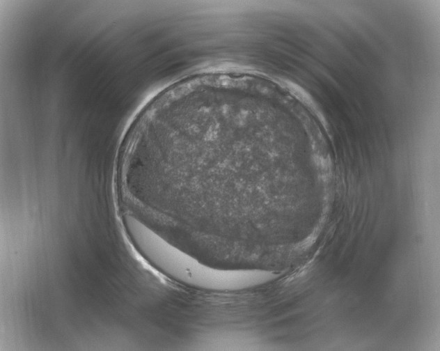 X0000064770863200603031824