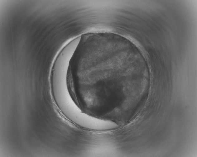 X0000064770864200603031824