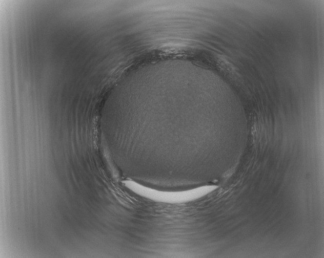 X0000064770868200603031823