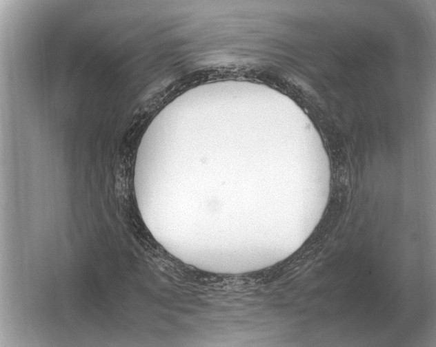 X0000064770869200603031823