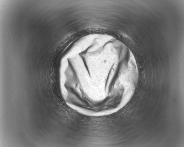 X0000064770870200603031823