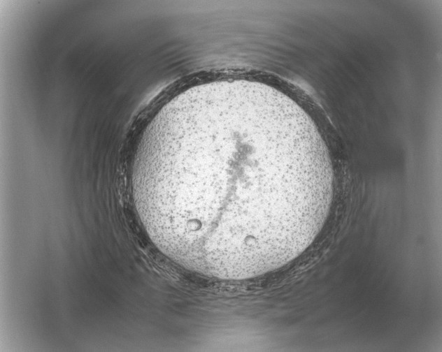 X0000064770871200603031823