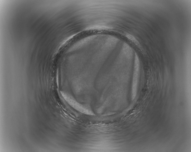 X0000064770872200603031823