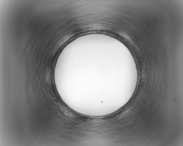 X0000064770873200603031823