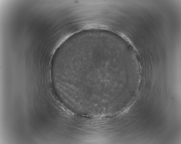 X0000064770877200603031823