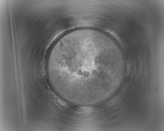 X0000064770878200603031822