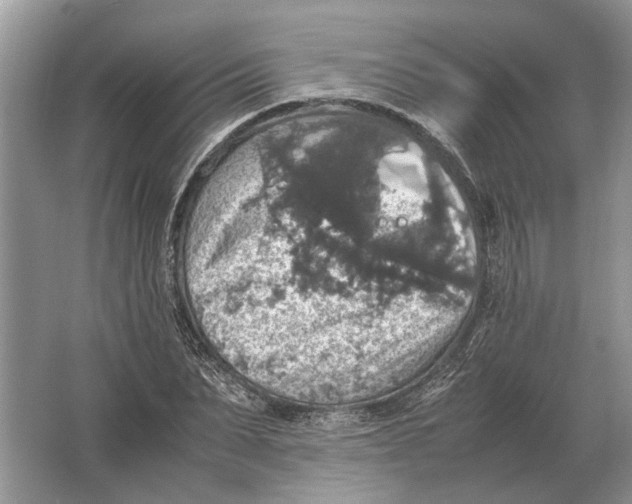 X0000064770879200603031822