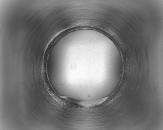 X0000064770880200603031822