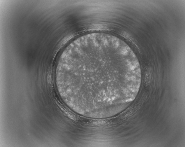 X0000064770882200603031822