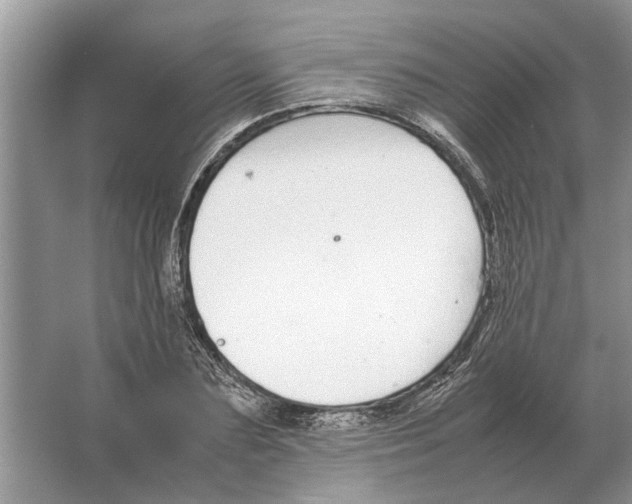 X0000064770883200603031822