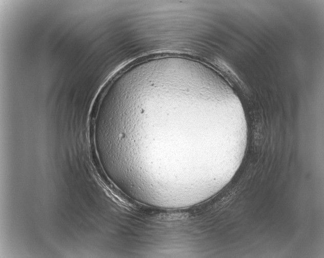 X0000064770884200603031822