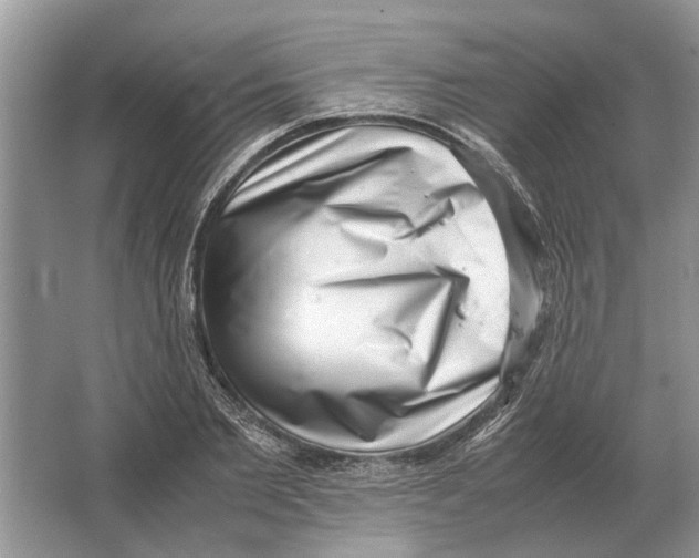 X0000064770885200603031822