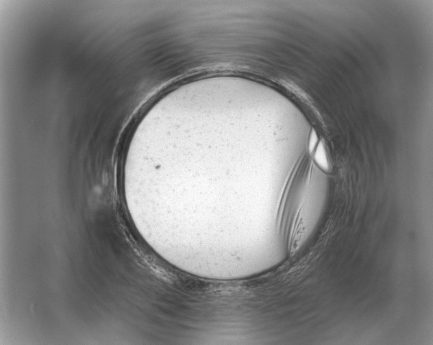 X0000064770886200603031822