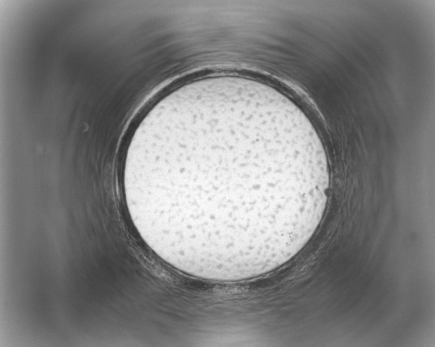 X0000064770887200603031822