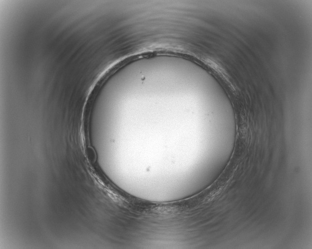 X0000064770888200603031822