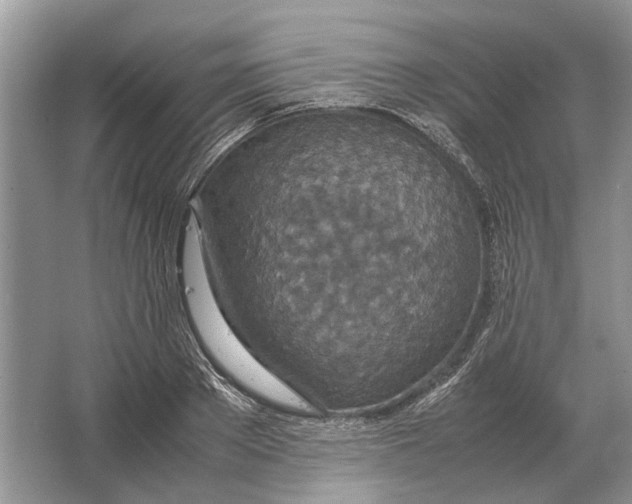 X0000064770889200603031822