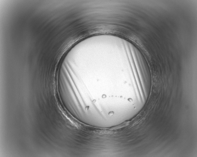 X0000064770890200603031822