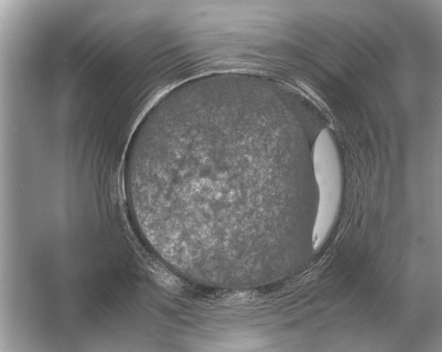 X0000064770891200603031822