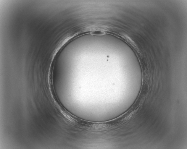 X0000064770893200603031822