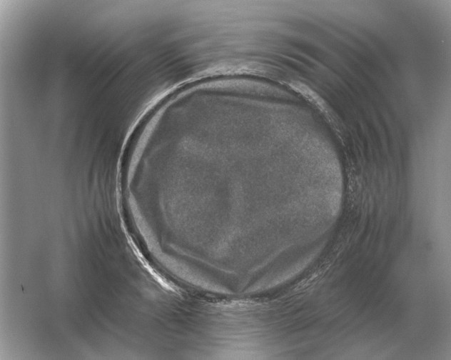 X0000064770894200603031822