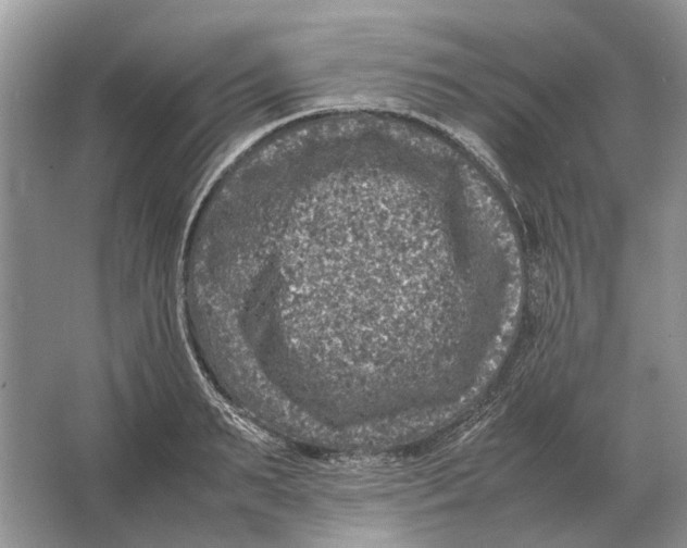 X0000064770895200603031822