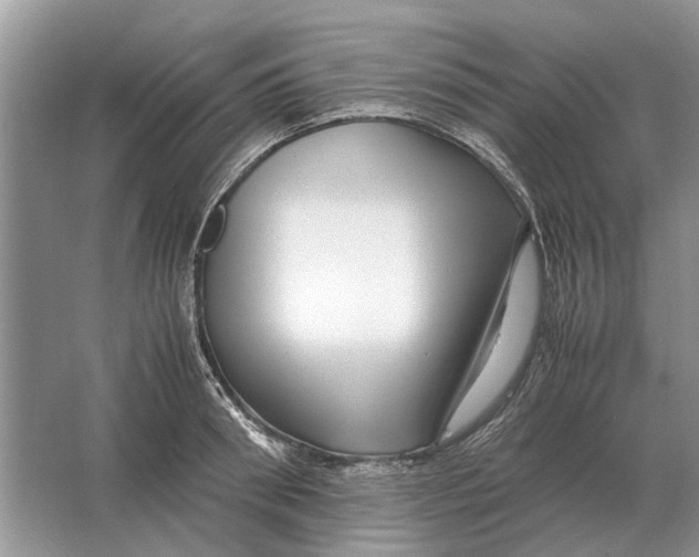 X0000064770898200603031822