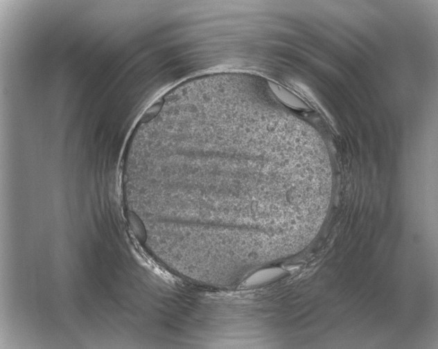 X0000064770900200603031822