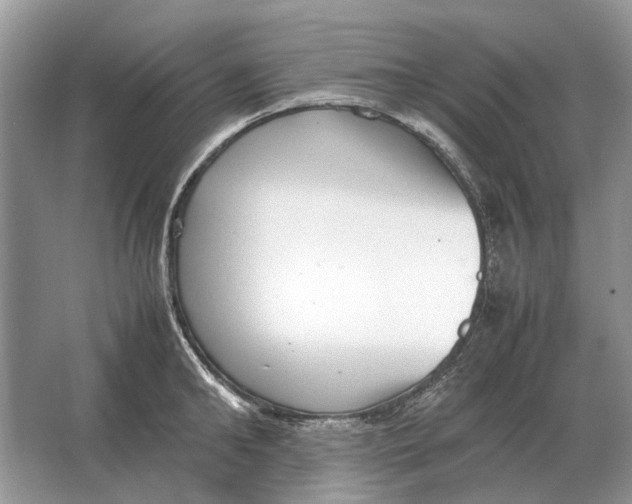 X0000064770902200603031822