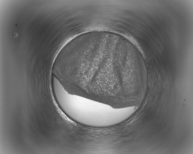 X0000064770903200603031822