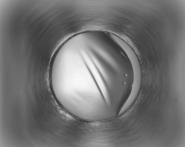 X0000064770904200603031822