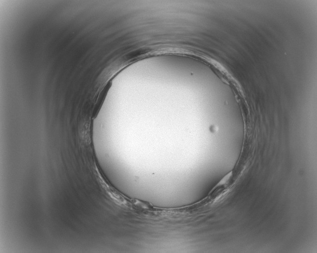 X0000064770905200603031822