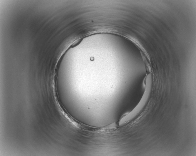 X0000064770906200603031822