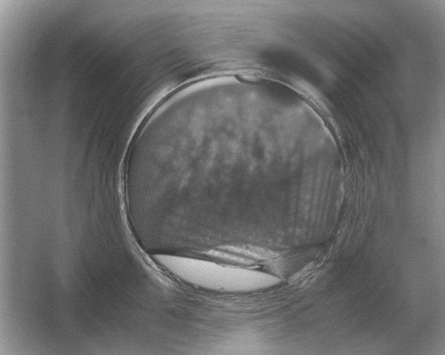 X0000064770907200603031822