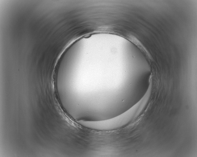 X0000064770908200603031822