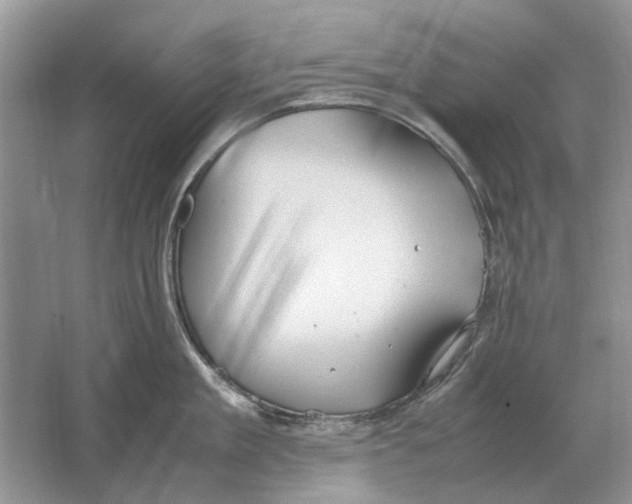 X0000064770909200603031822