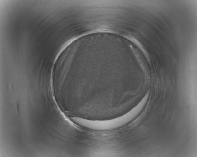 X0000064770910200603031822