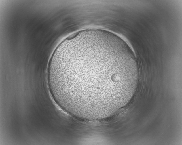 X0000064770911200603031822