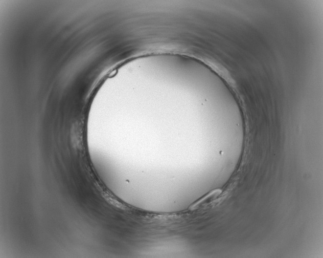 X0000064770912200603031822